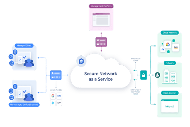 secure network as a service